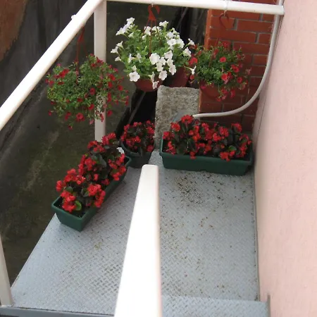 Sweet Zaječar